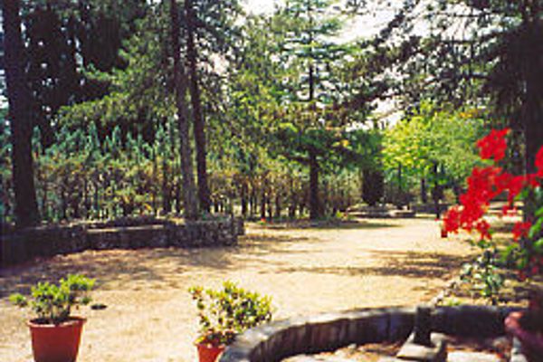 Villa Sant'Uberto Country Inn (Radda in Chianti)